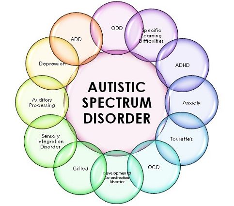 Autism &#8211; causes, symptoms, diagnosis, treatment