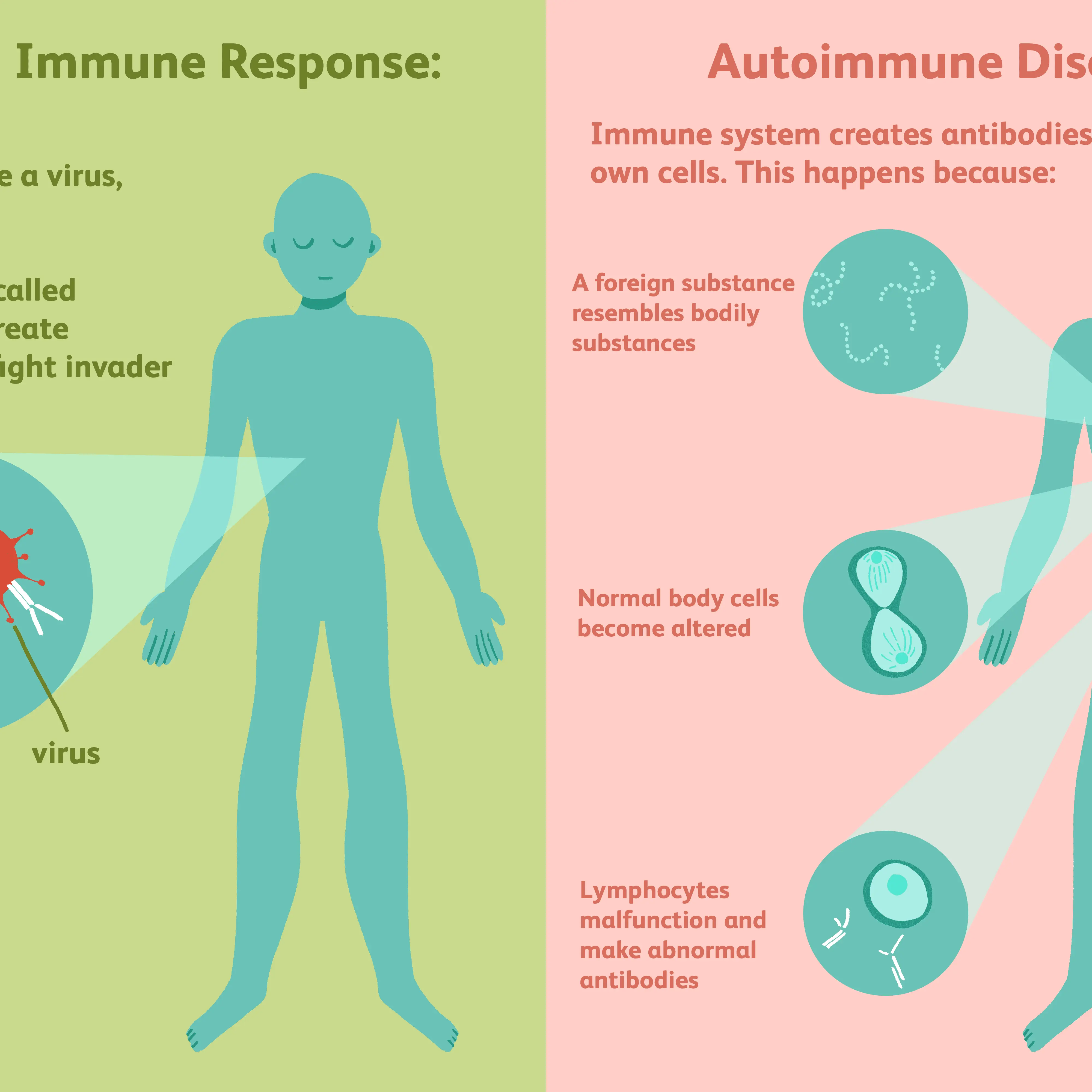 Autoimmune diseases &#8211; types, causes, diagnosis, treatment. What are they characterized by? WE EXPLAIN