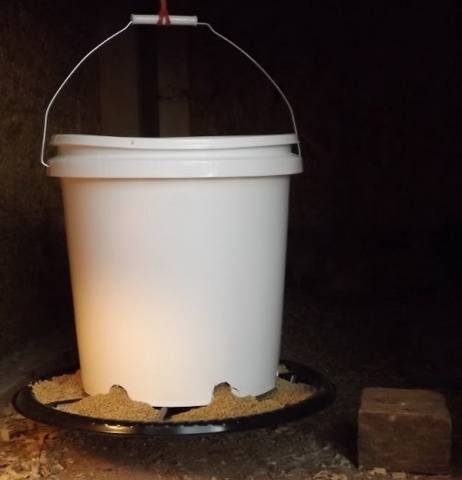 Automatic feeder for chickens own hands 