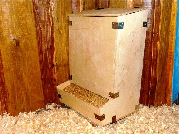 Automatic feeder for chickens own hands 