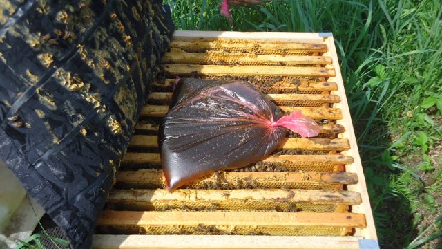 Autumn feeding of bees with sugar syrup