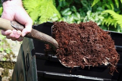 Autumn planting fruit