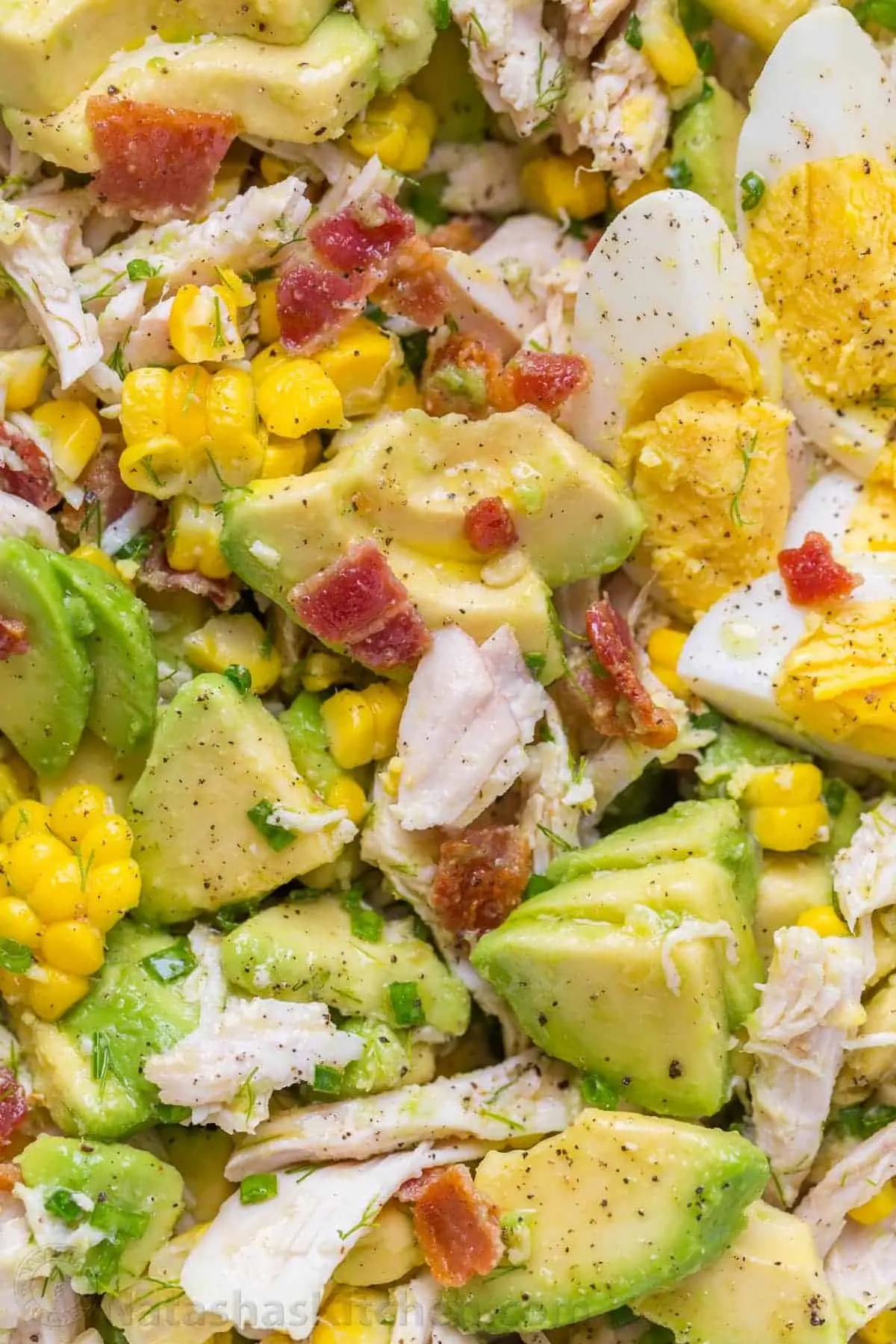 Avocado and Chicken Salad Recipes