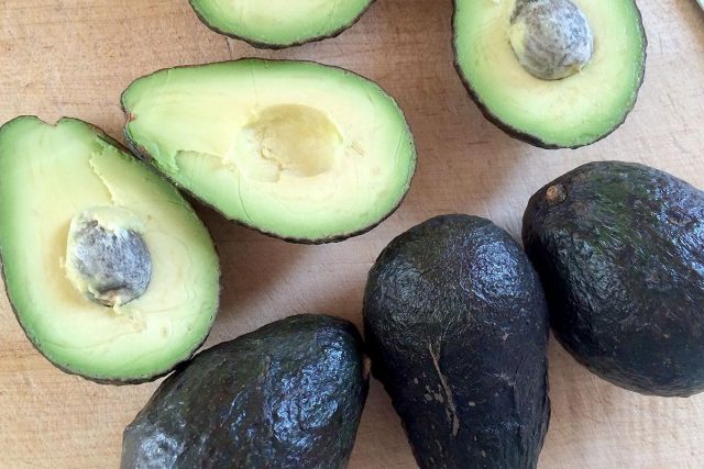 Avocado Haas: how it differs from the usual, benefits, how to eat