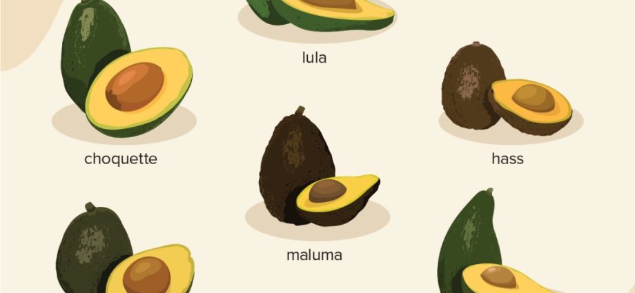 Avocado Haas: how it differs from the usual, benefits, how to eat