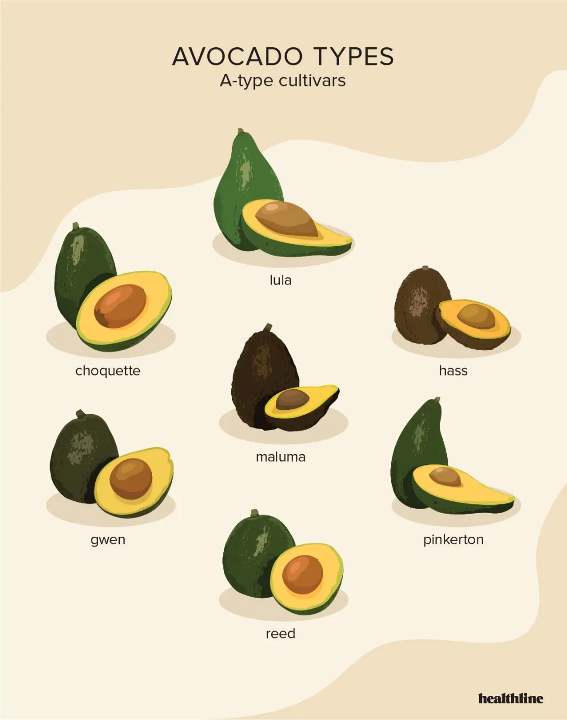 Avocado Haas: how it differs from the usual, benefits, how to eat