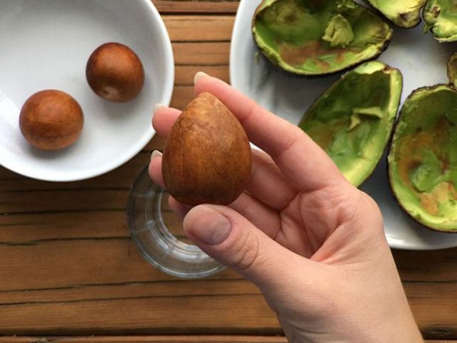 Avocado pit: edible or not, can it be used