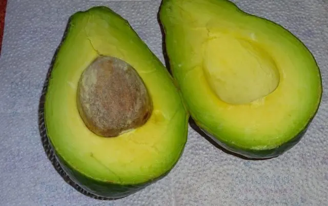 Avocado: types and varieties, photo and description