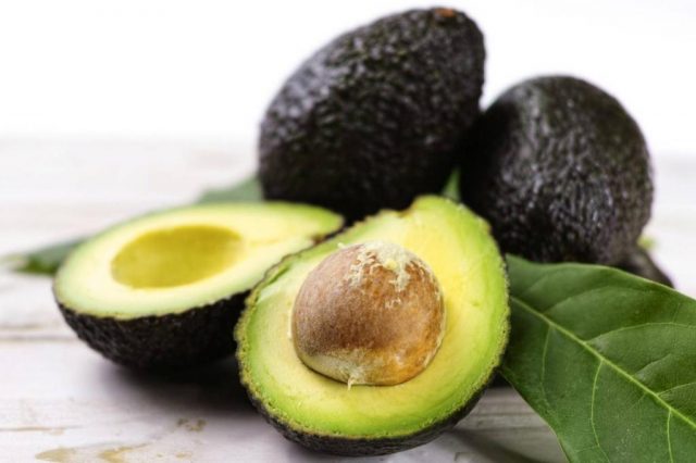 Avocado: types and varieties, photo and description