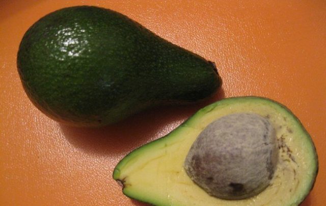 Avocado: types and varieties, photo and description