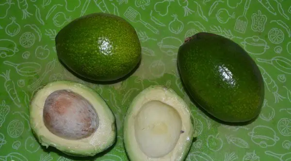 Avocado: types and varieties, photo and description