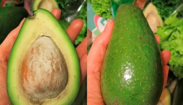 Avocado: types and varieties, photo and description