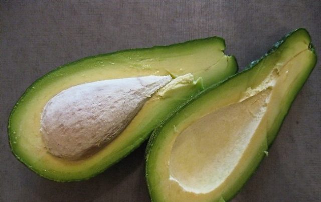 Avocado: types and varieties, photo and description