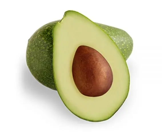 Avocado: types and varieties, photo and description