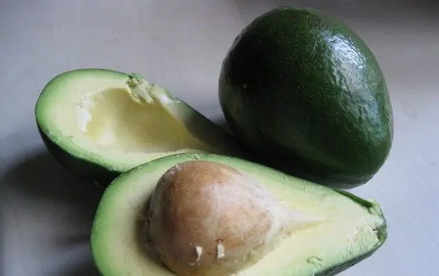 Avocado: types and varieties, photo and description