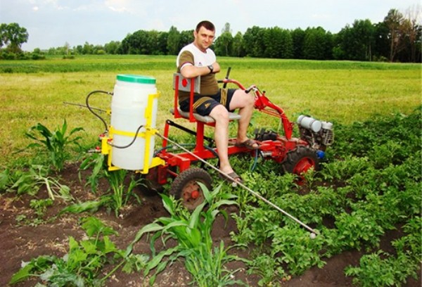 Azofoska fertilizer for potatoes - principle of operation