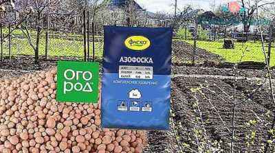 Azofoska fertilizer for potatoes &#8211; principle of operation