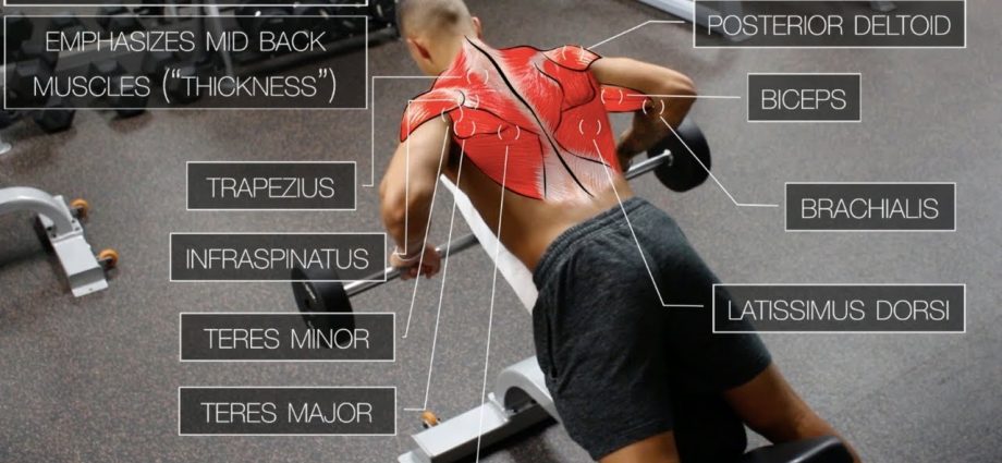 Back training &#8211; what is it? Strengthening the back muscles