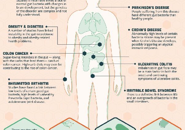 Bacteria cause depression. What else do you need to know about them?