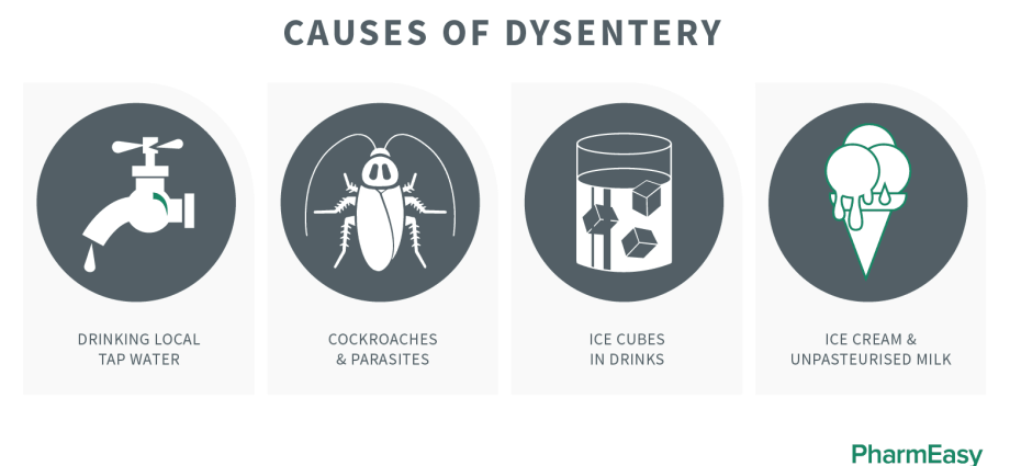 Bacterial dysentery and Shigella. Symptoms of dysentery