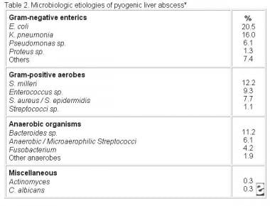 Bacterial liver abscess &#8211; causes, symptoms, treatment