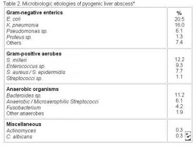 Bacterial liver abscess &#8211; causes, symptoms, treatment