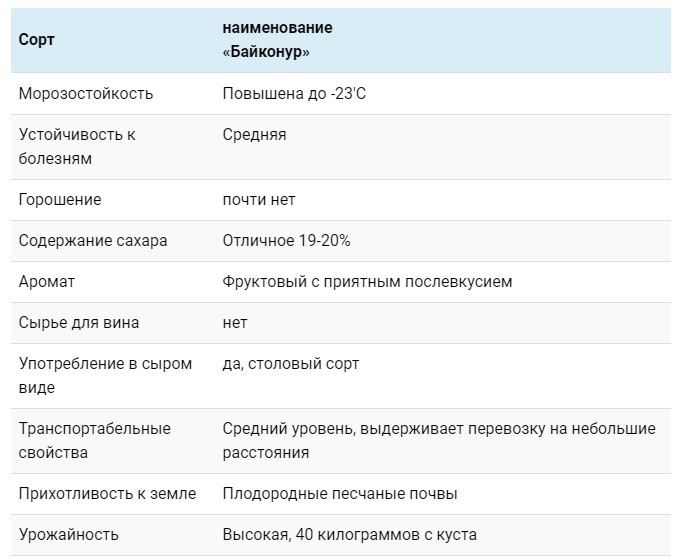 Baikonur grapes: history, appearance, commercial and taste qualities of fruits + features of planting and growing and photos