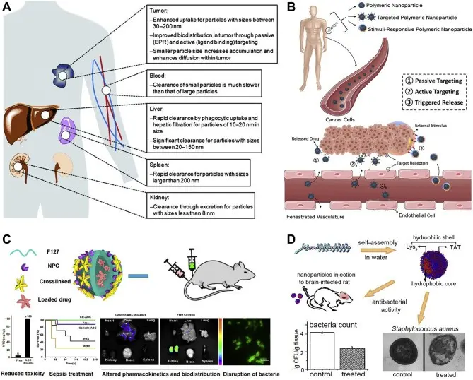 Banned peptides can destroy cancer