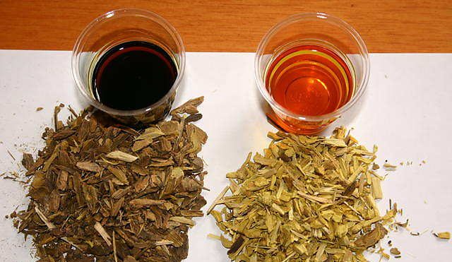 Barberry root: medicinal properties