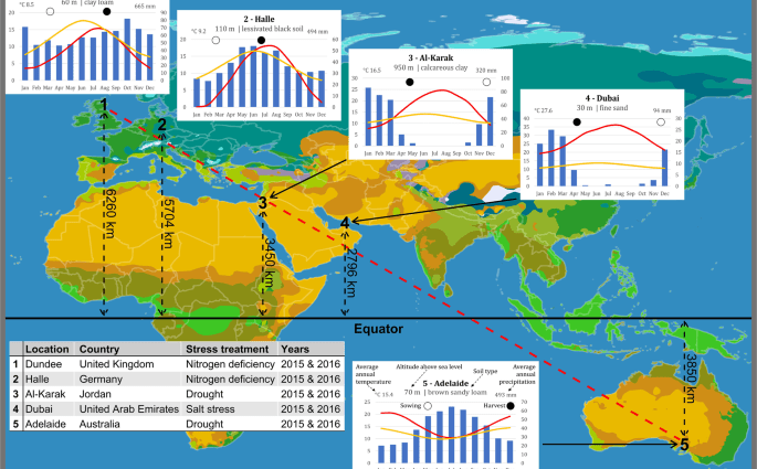 Barley &#8211; location, types, treatment