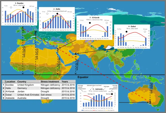 Barley &#8211; location, types, treatment