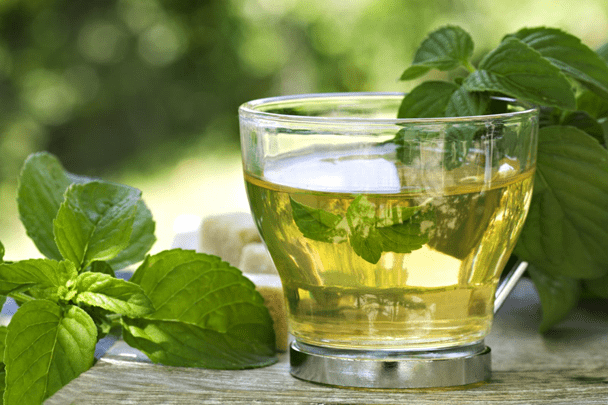 basil tea