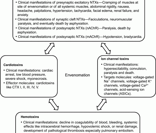 Batroxobin time &#8211; when is it determined and what clotting disorders does it detect?