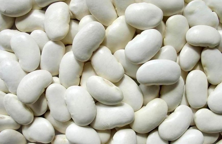 Bean varieties: varieties, taste, distinctive features