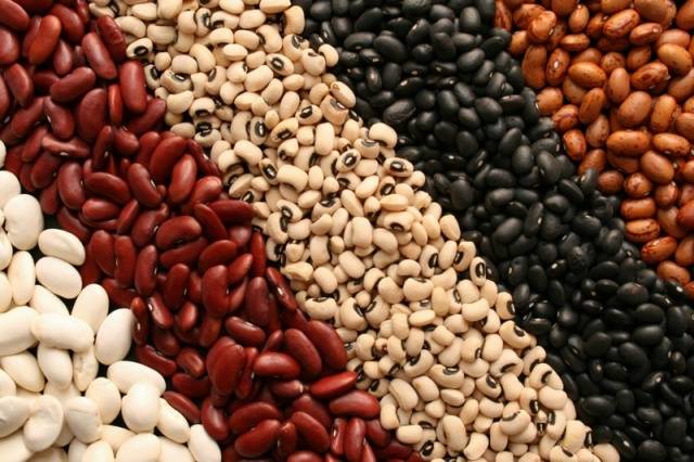 Beans: varieties and types + photo with description