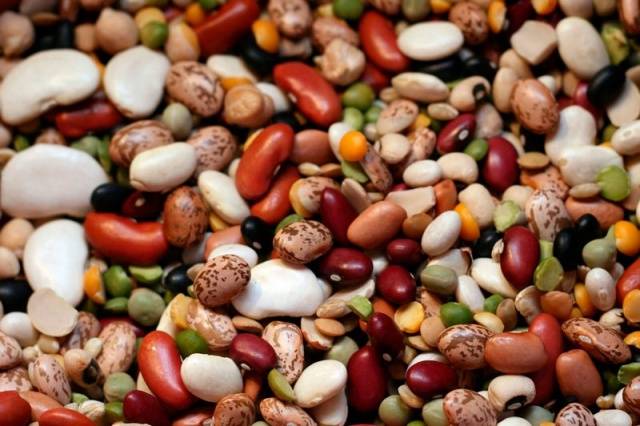 Beans: varieties and types + photo with description