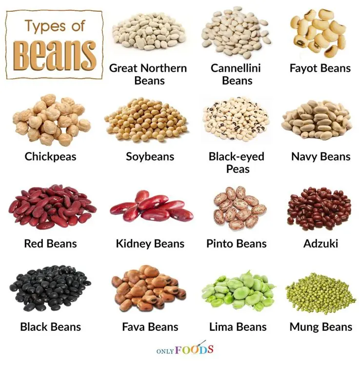 Beans: varieties and types + photo with description