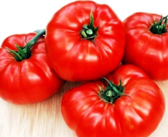 Bear paw tomato: reviews, photos, yield