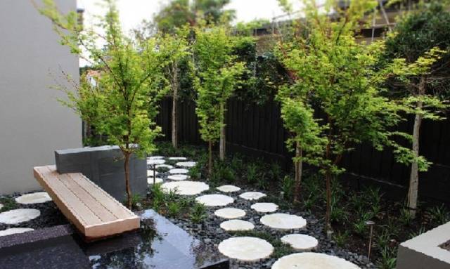 Beautiful landscape design of the site + photo of original ideas