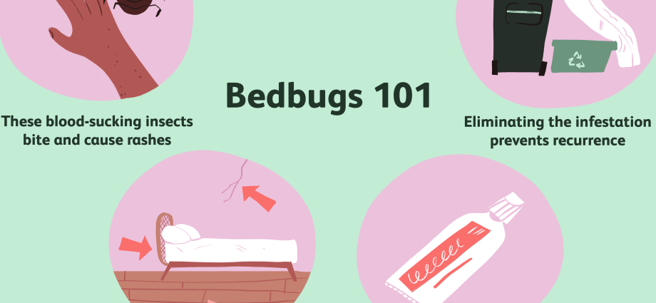 Bedbug &#8211; bite symptoms, treatment, prevention. How To Get Rid Of Bedbugs?