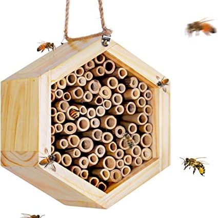 bee house