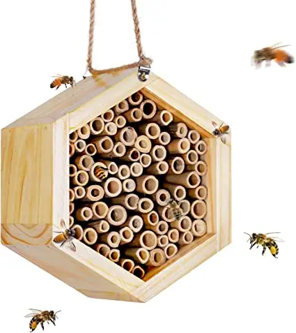 bee house