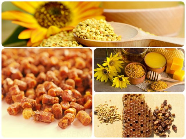 Bee pollen: useful properties and applications