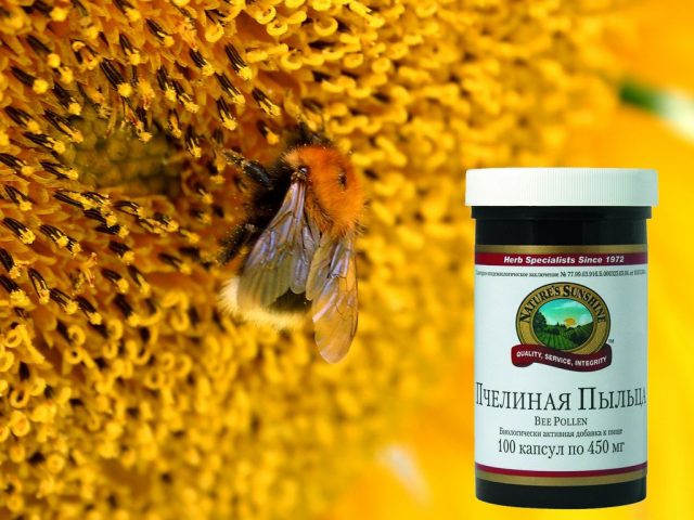 Bee pollen: useful properties and applications