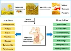 Bee pollen: useful properties and applications