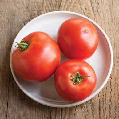 Beef big tomato: characteristics and description of the variety