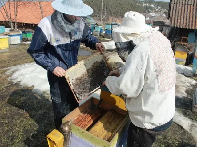 Beekeeper calendar: work by months