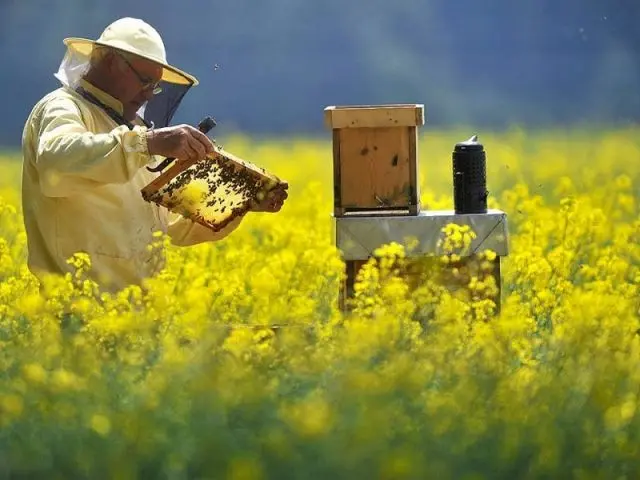 Beekeeper calendar: work by months