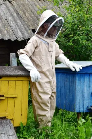 beekeeper costume