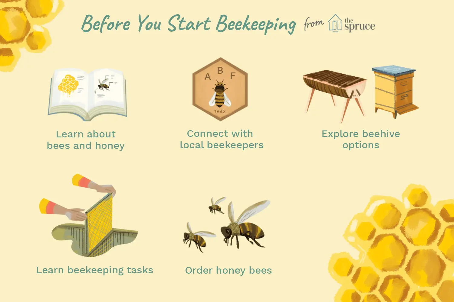 Beekeeping for beginners: where to start